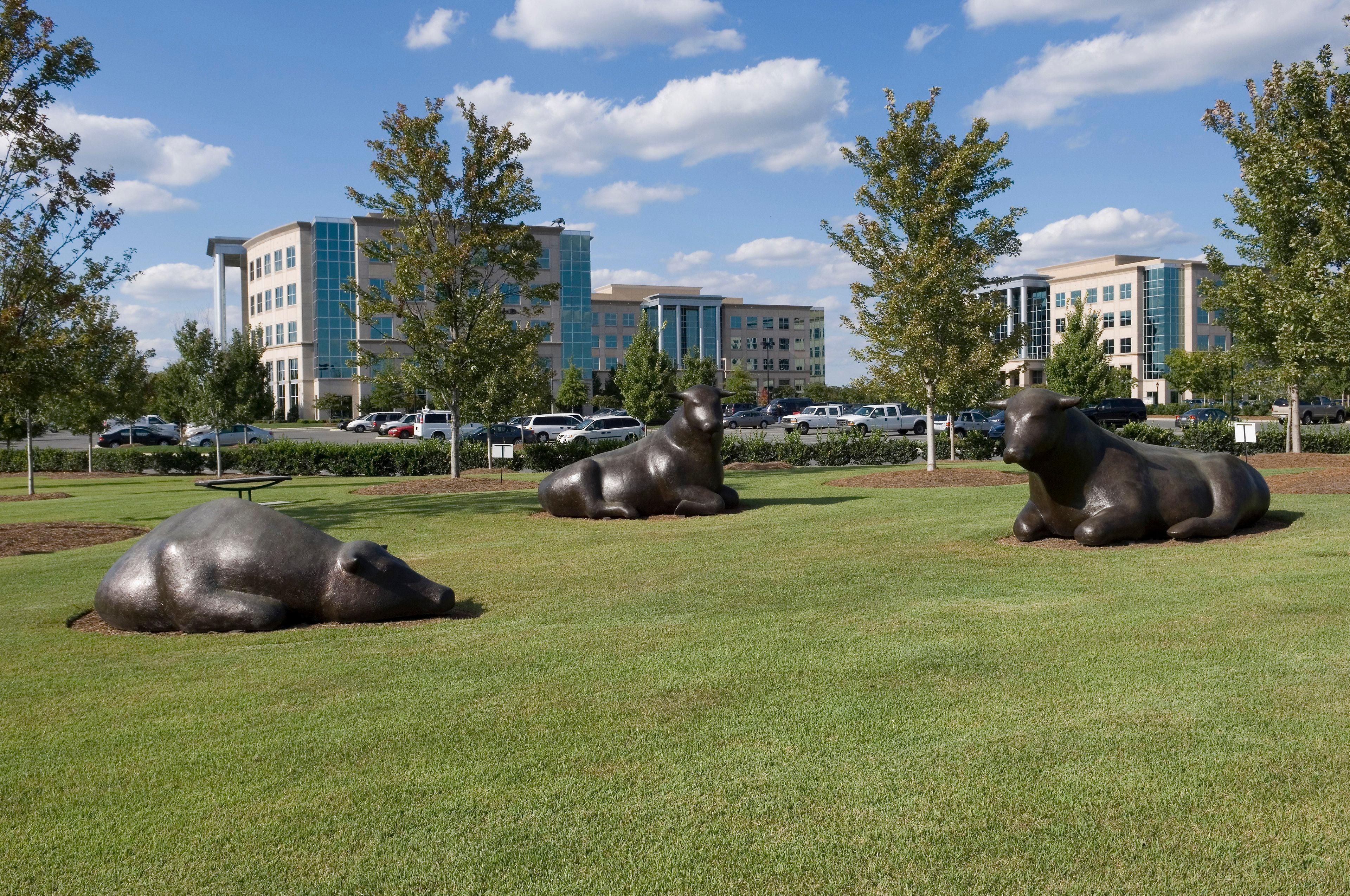 Staybridge Suites - Charlotte Ballantyne By Ihg Esterno foto